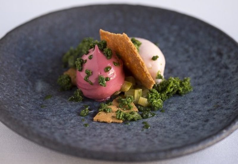 Sukí Red Berry Tea Cake with Rhubarb Sorbet and Iced Sorrel Recipe by Chef Danni Barry
