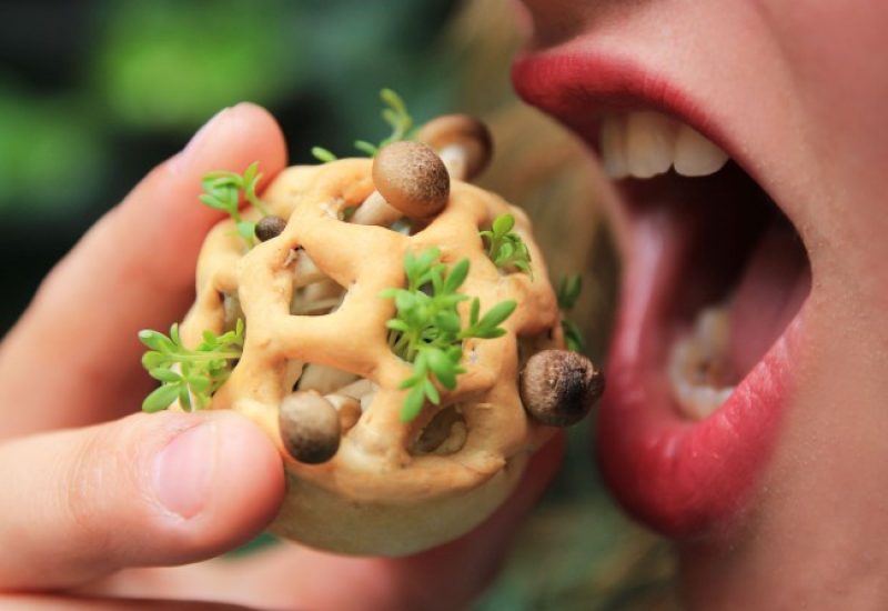 Edible Growth image courtesy of Chloe Rutzerveld