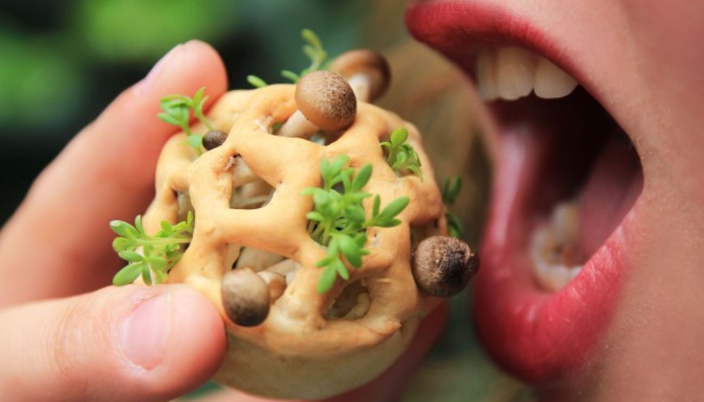 Edible Growth image courtesy of Chloe Rutzerveld