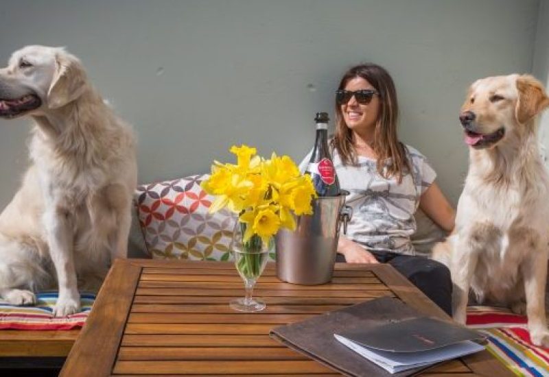 Exchequer Wine Bar - Dogs on the terrace