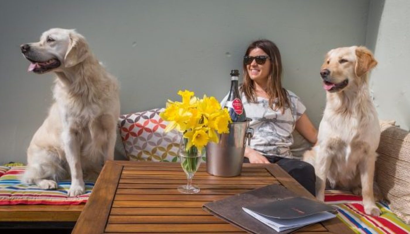 Exchequer Wine Bar - Dogs on the terrace