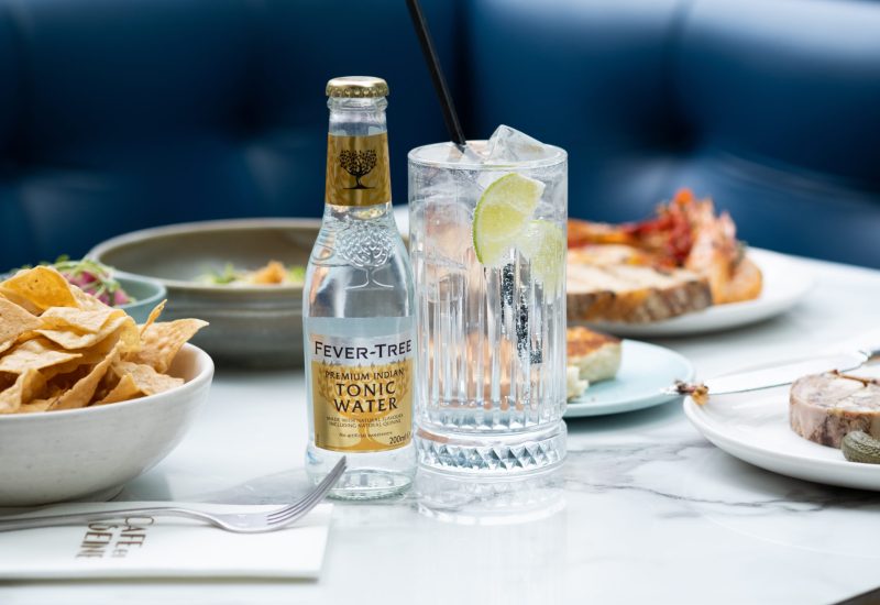 Cafe en Seine Forest Forest Fever Tree