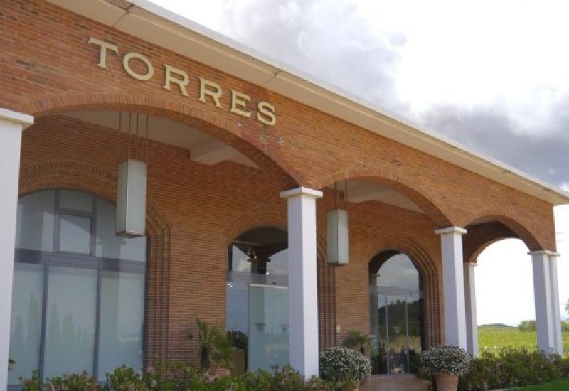 Findlater Wines - Torres Winery