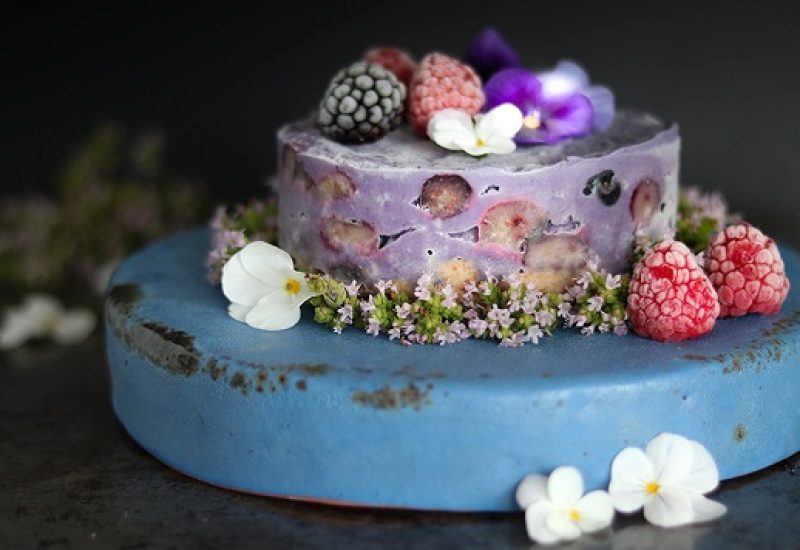 Frozen Blueberry Cheesecake Recipe
