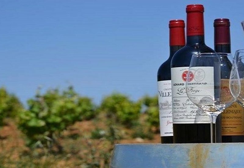 Biodynamic Wines