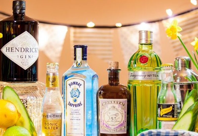 Gin Fest