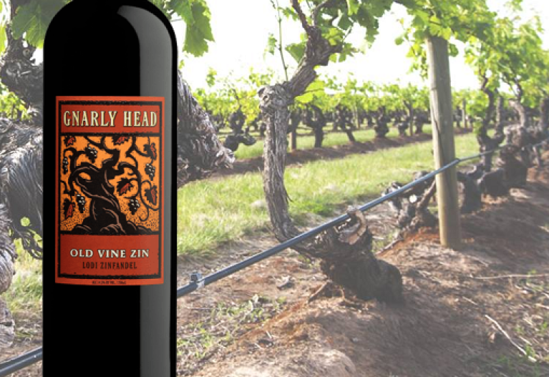 Gnarly Head Zinfandel - Wine of the Week from O'Briens Wine