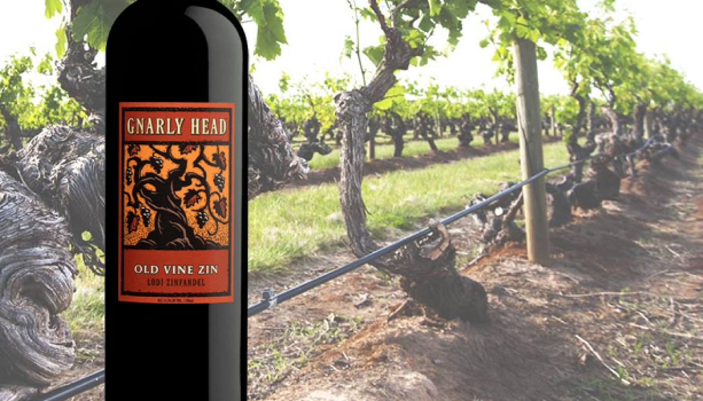 Gnarly Head Zinfandel - Wine of the Week from O'Briens Wine