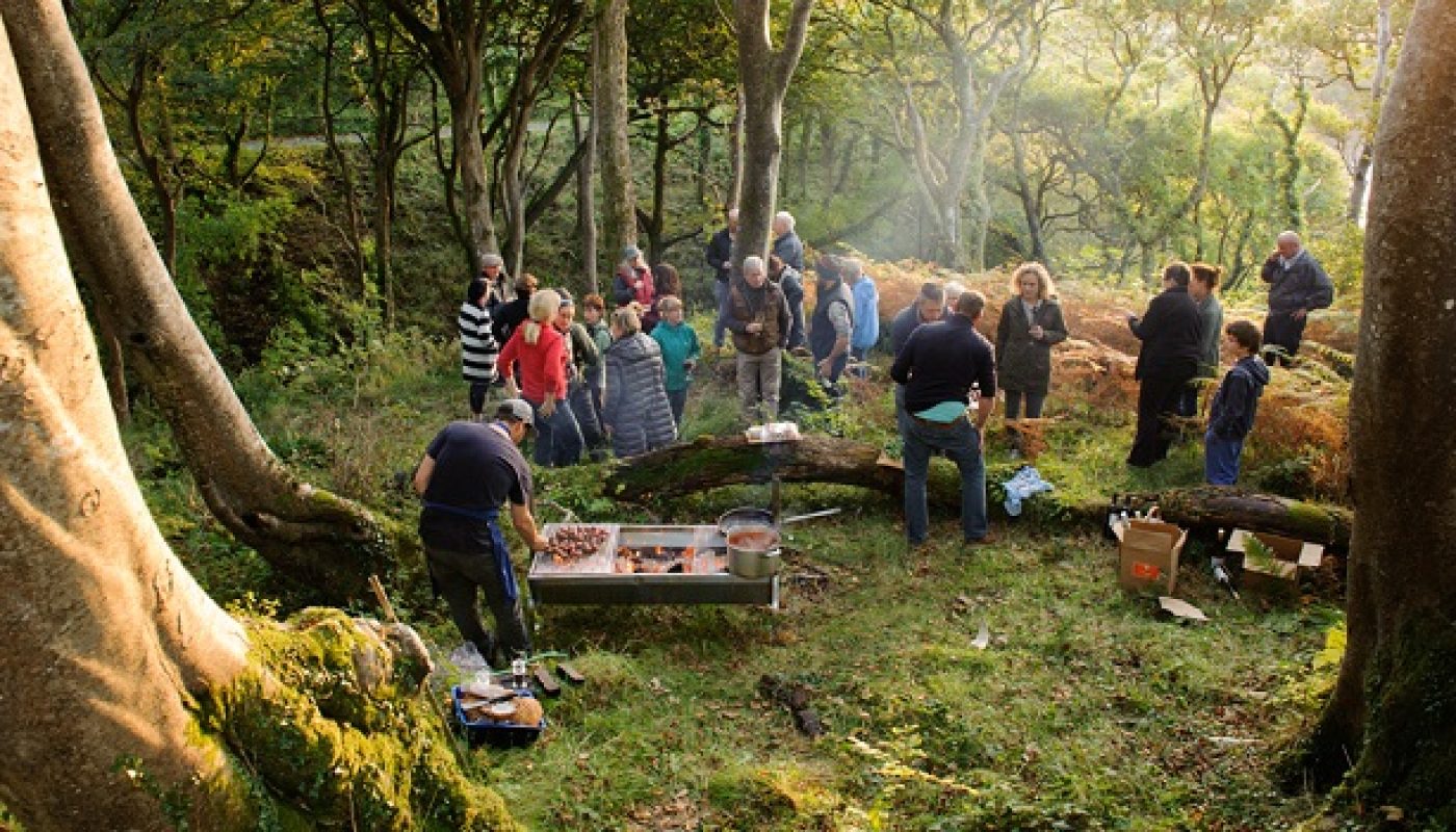 Connemara Green Festival