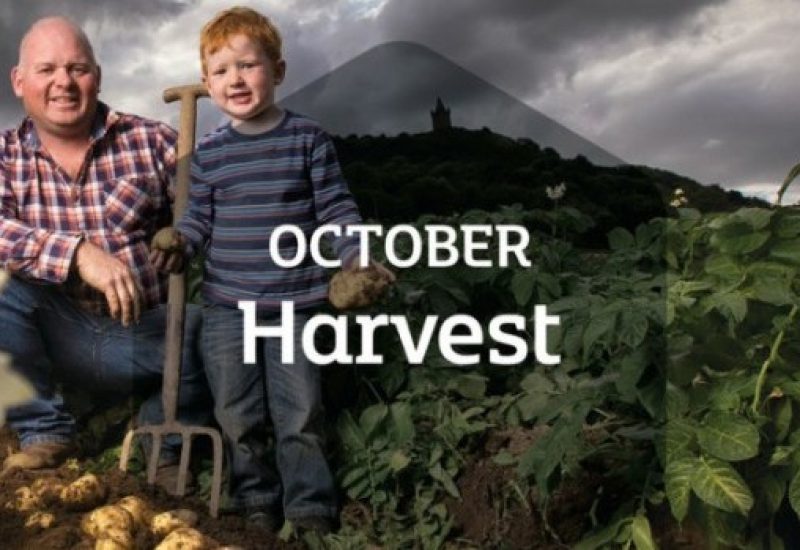 harvest-month-feature