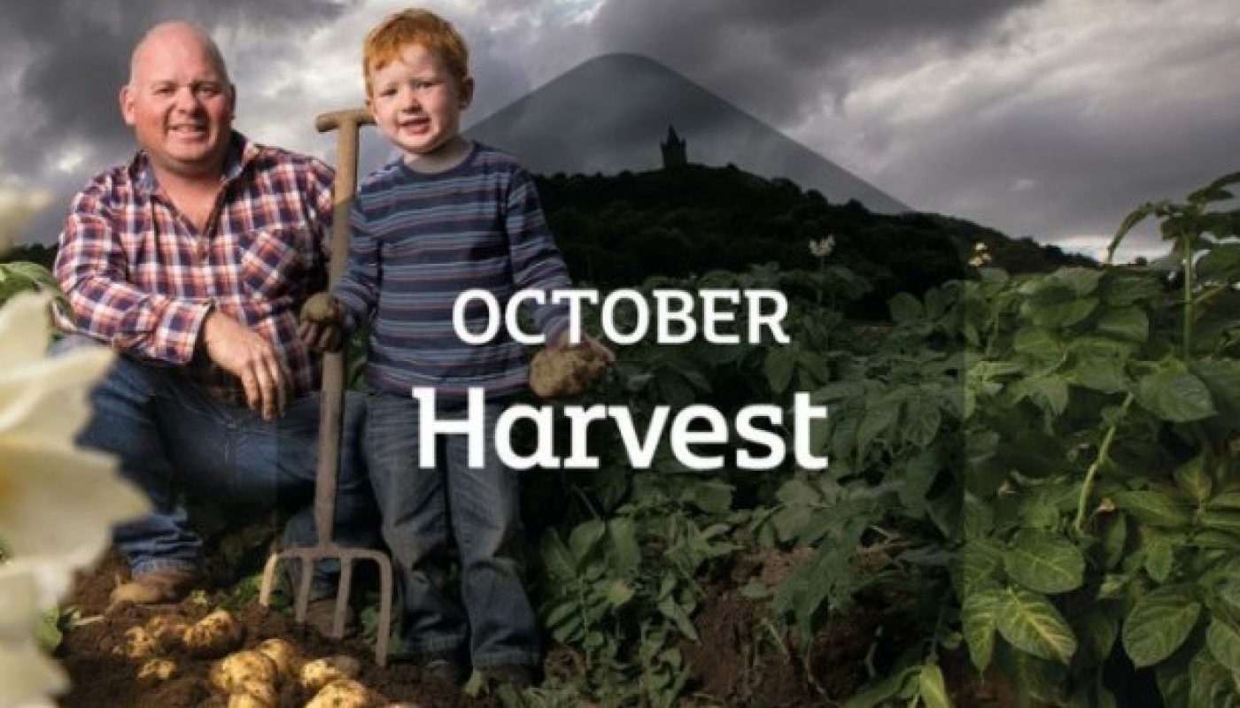 harvest-month-feature