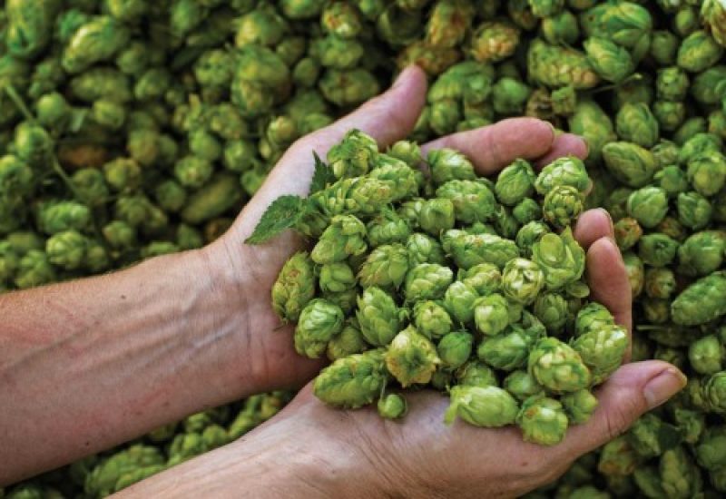 Northern Ireland Brewing and Distilling