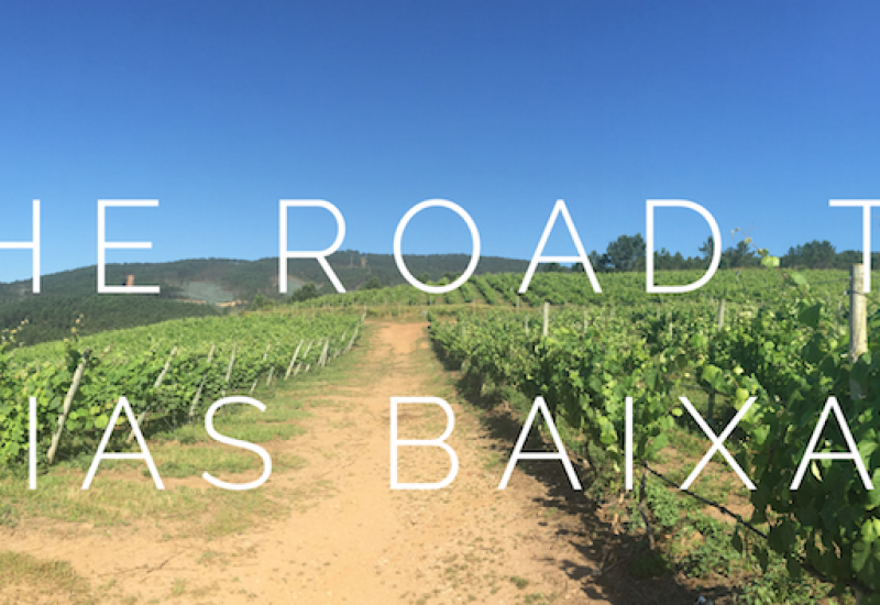 Rias Baixas Guide