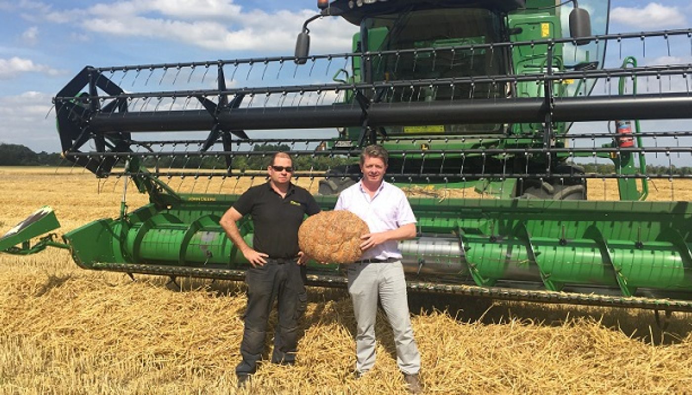 Harvest Time: 100% Irish Wheat for The Natural Bakery's Grain Project
