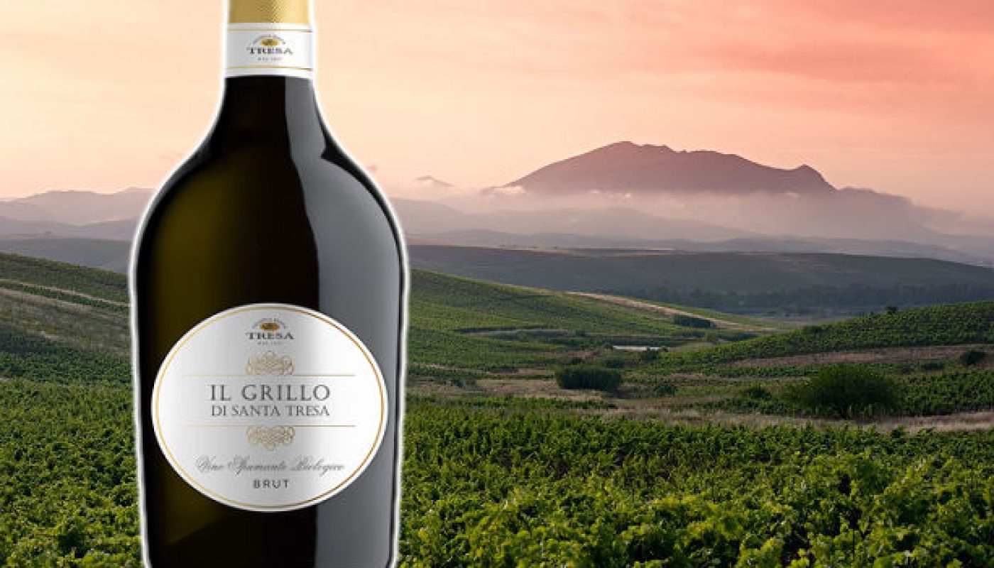 Il Grillo di Santa Tresa Spumante - Wine of the Week from O'Briens Wine