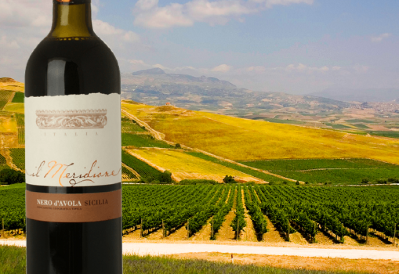 Il Meridione Nero d'Avola – Wine of the Week from O’Briens Wine 2