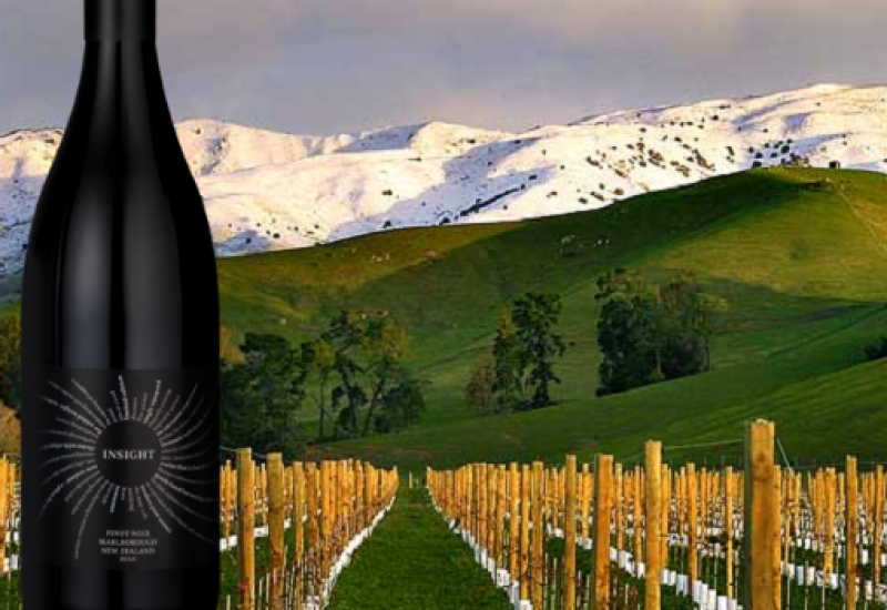 Insight Vineyard Pinot Noir – Wine of the Week from OBriens Wine