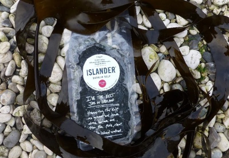 Islander Kelp FI2