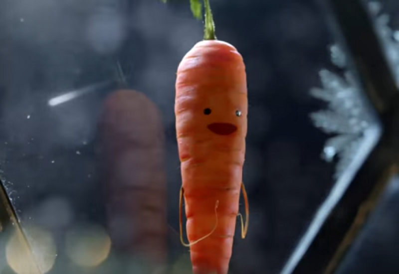 Kevin the Carrot