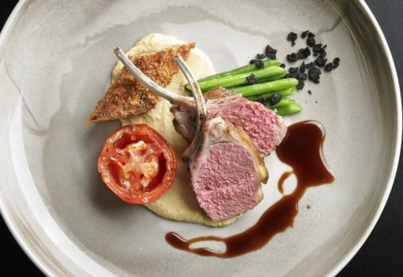 Lamb