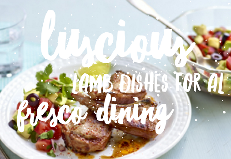 Lamb feature 1