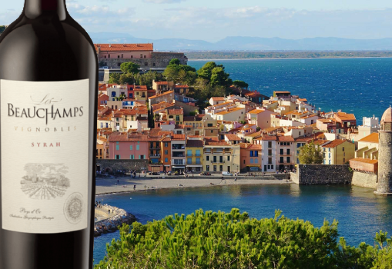 Les Beauchamps Syrah - Wine of the Week from O'Briens edit