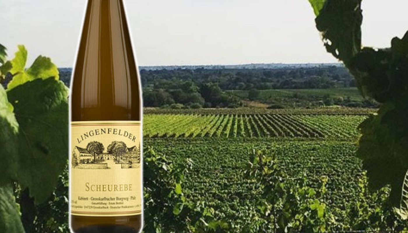 Discover Scheurebe, Riesling's Lovable Cousin Shines in this Elegant German Wine
