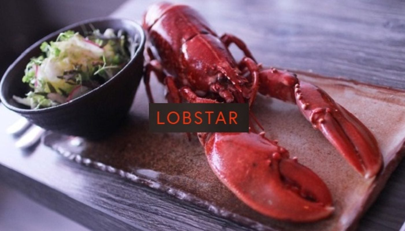 Lobstar 8