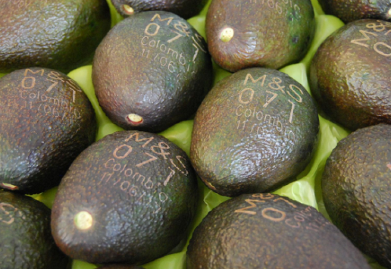 M&S Avacado .