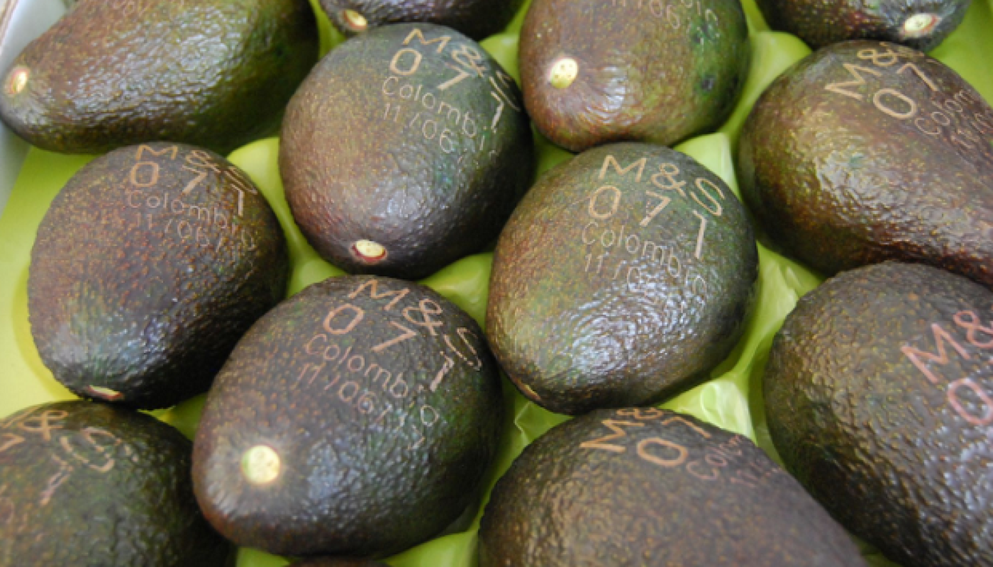 M&S Avacado .