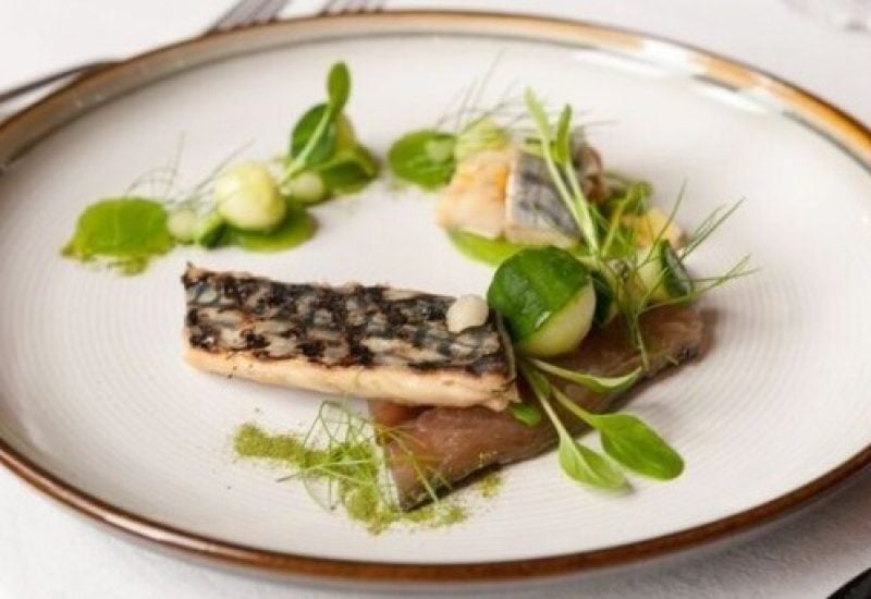Mackerel Ceviche