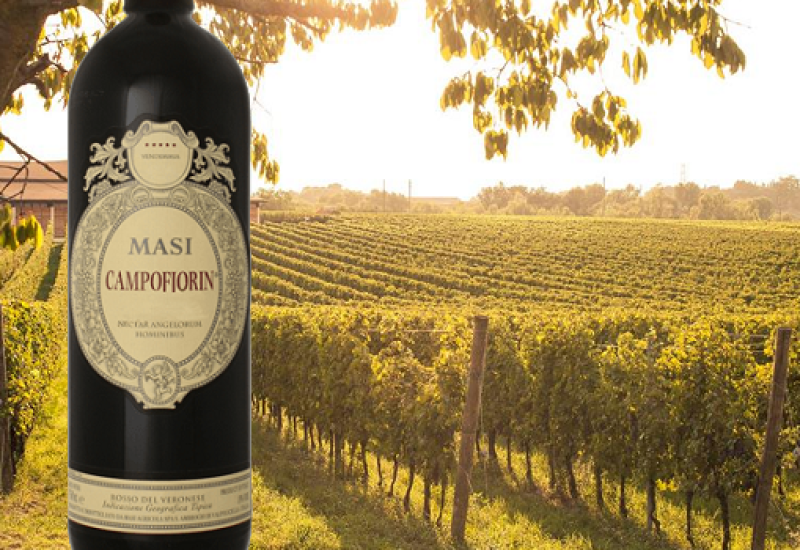 Masi Campofiorin 2013 - Wine of the Week from O'Briens 2