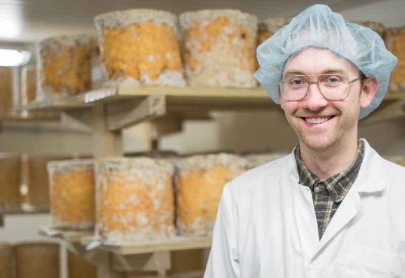 Mike Fancy Cheese Feature
