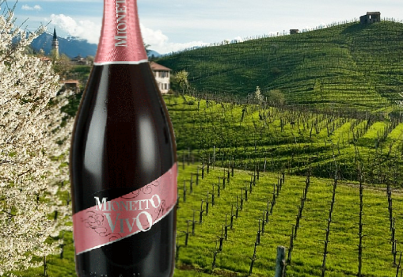 Mionetto Vivo Rose Prosecco – Wine of the Week from O’Briens