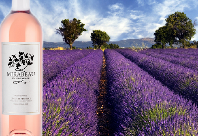 Mirabeau Rose 2015 – Wine of the Week from O’Briens Wine