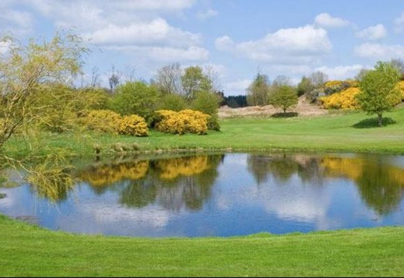 Monaghan Feature Image