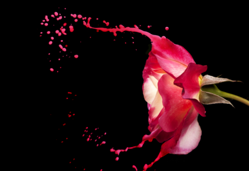 Mother's Day Wines