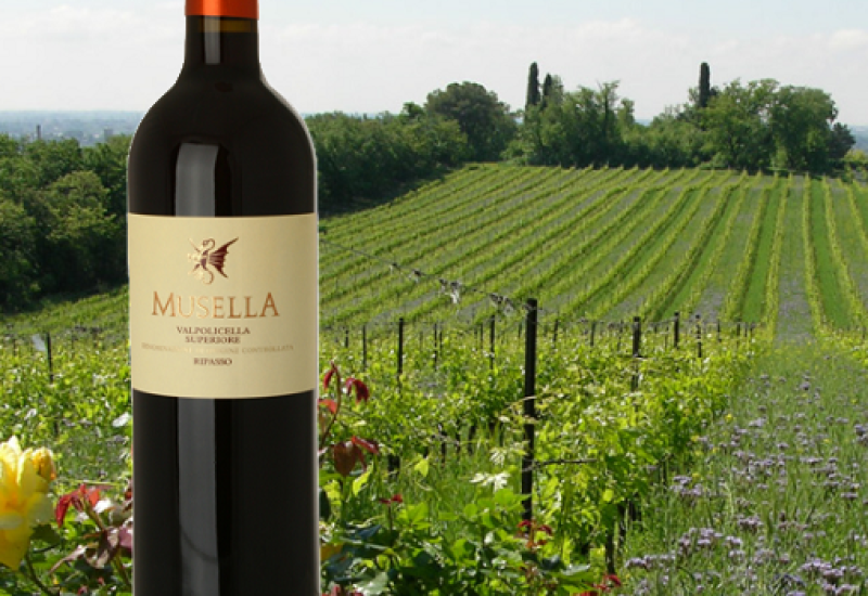 This Italian Red is a Crowd Pleasing Treat with Personality