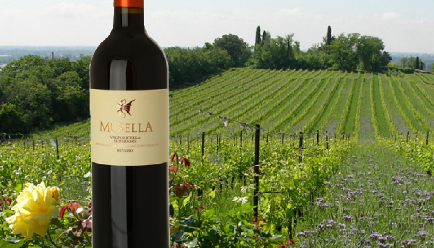 This Italian Red is a Crowd Pleasing Treat with Personality