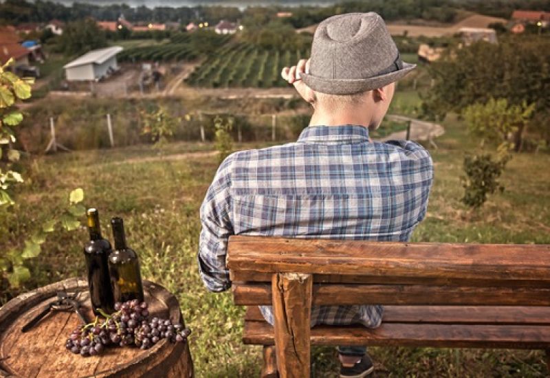 Natural Wines - The Growing Trend that's Making People Rethink Wine 7
