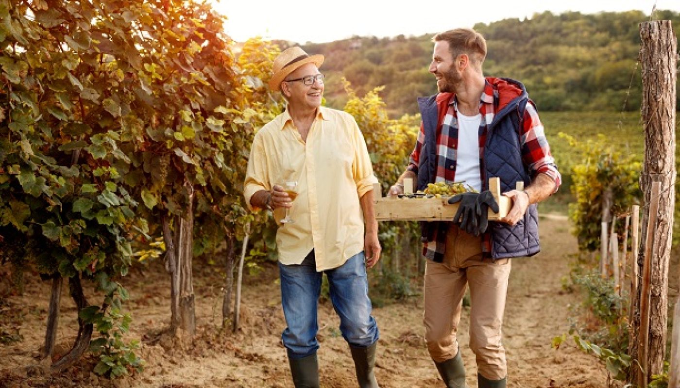 Wines Back from the Dead - Nearly Extinct Varieties Returned to Amaze You