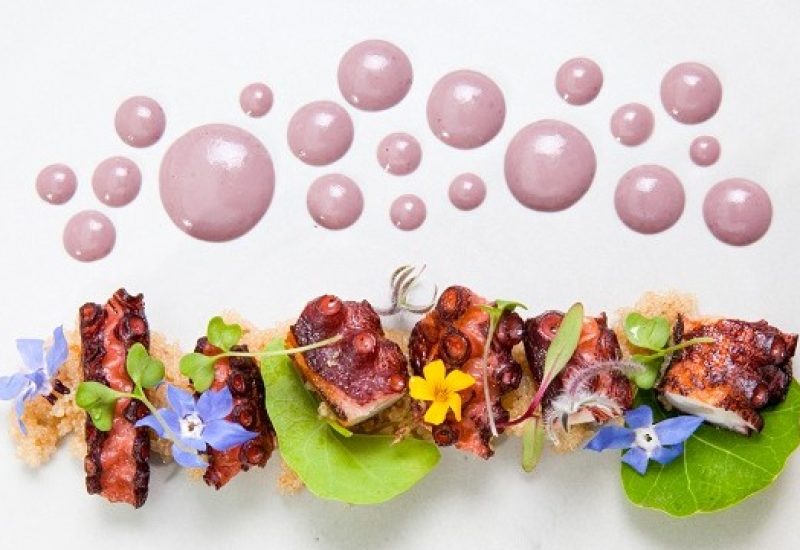 octopus olivo Lima London