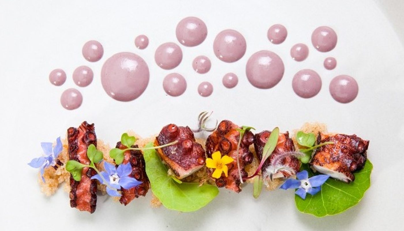 octopus olivo Lima London