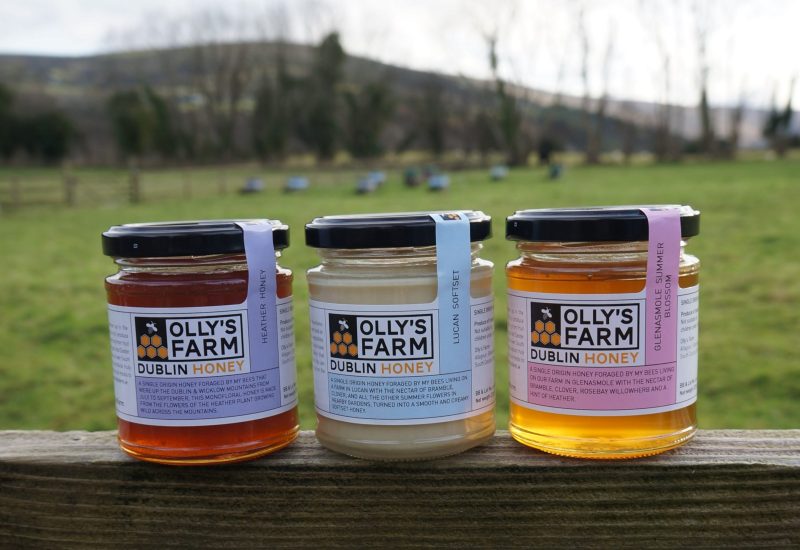 Olly's Farm