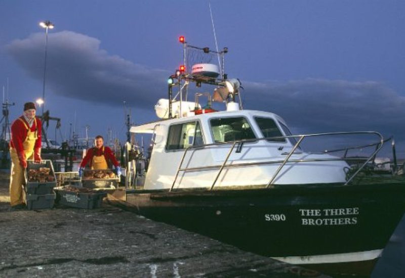 Our Story Pic - Shellfish Ireland