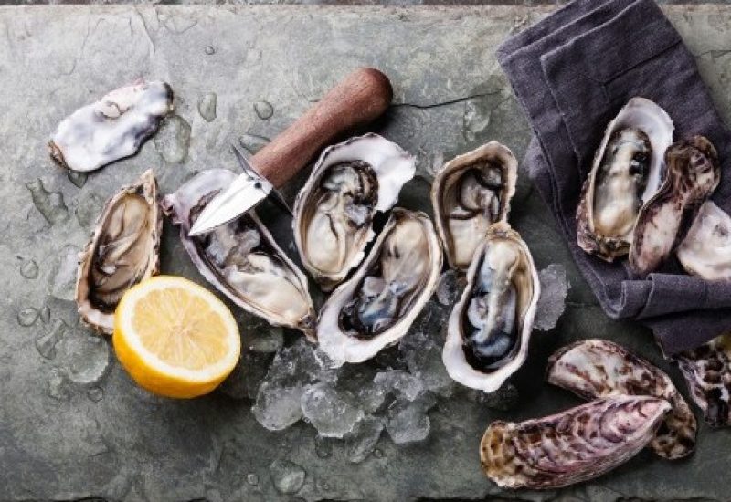 Oyster feature