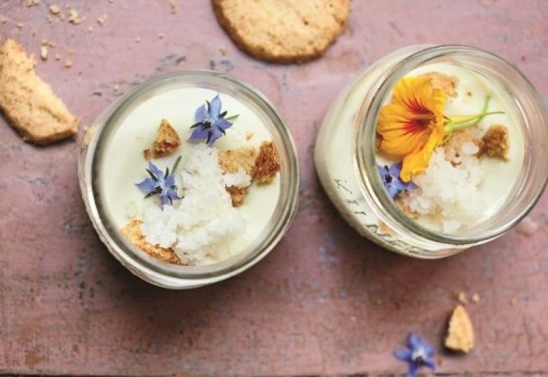 Panacotta