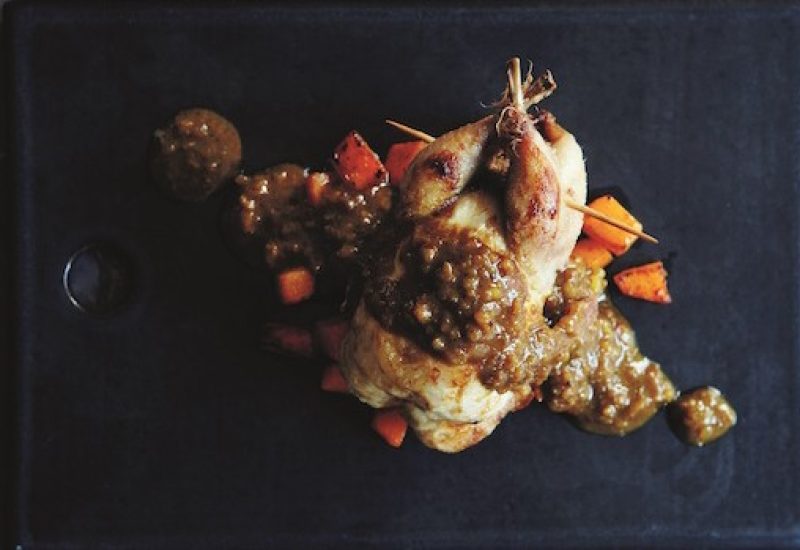 Persian Quail by Arun Kapil