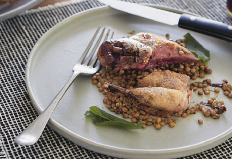 Pigeon Recipe