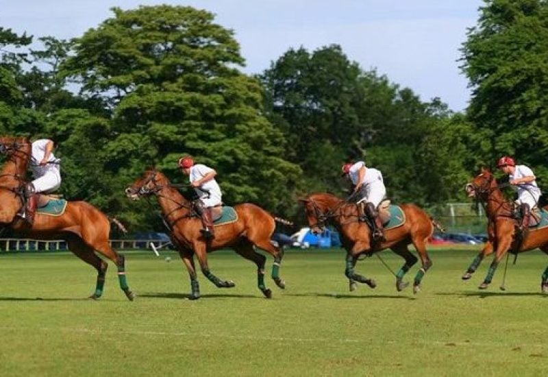 Polo in the park